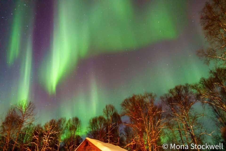 Susitna River Lodging, Suites Talkeetna Exterior foto